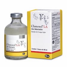Clamoxyl LA (Enjeksiyonluk Süspansiyon)