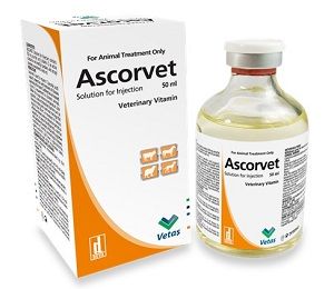 Ascorvet (Enjeksiyonluk Çözelti)